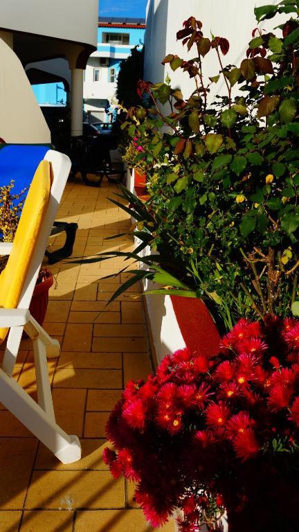 Apartamentos E Quartos Atalaia Sagres Exteriér fotografie